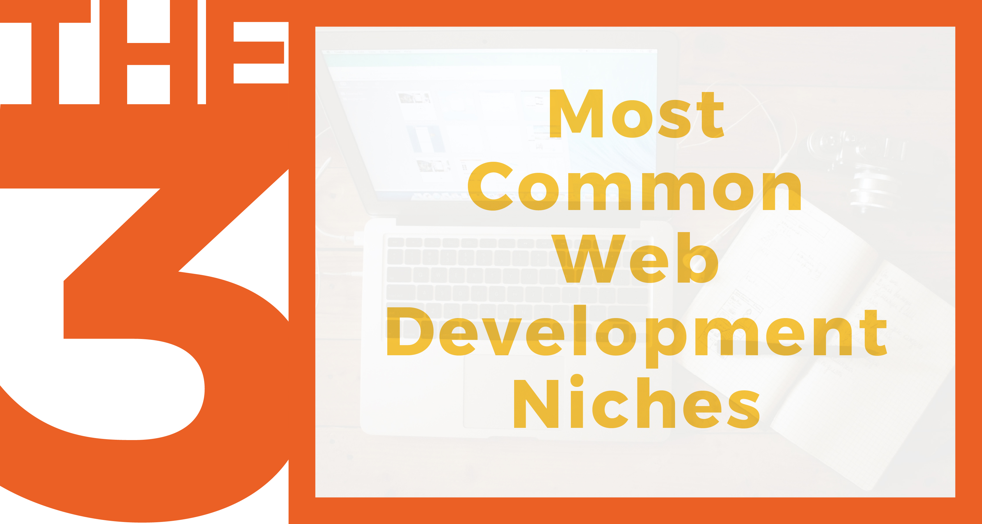 The 3 Most Common Web Development Niches